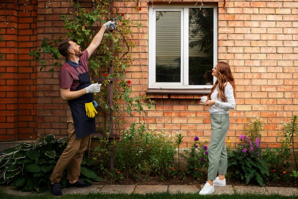 Window Replacement Trends in Greeley