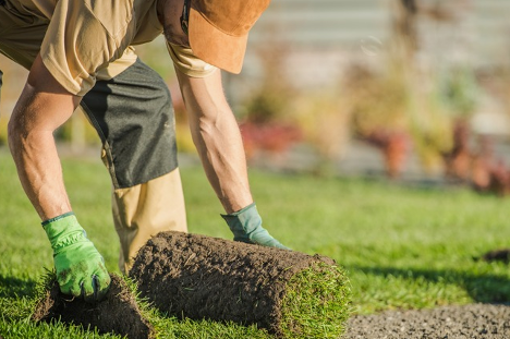 Landscaper in Dallas